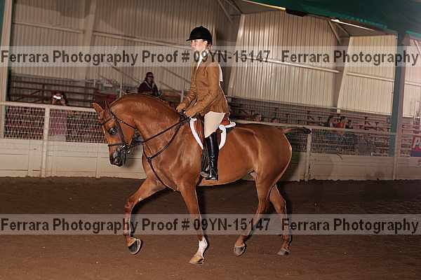 Proof 09yn-15147