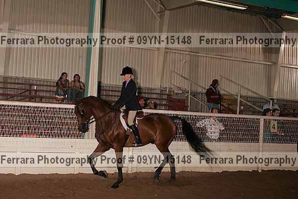 Proof 09yn-15148