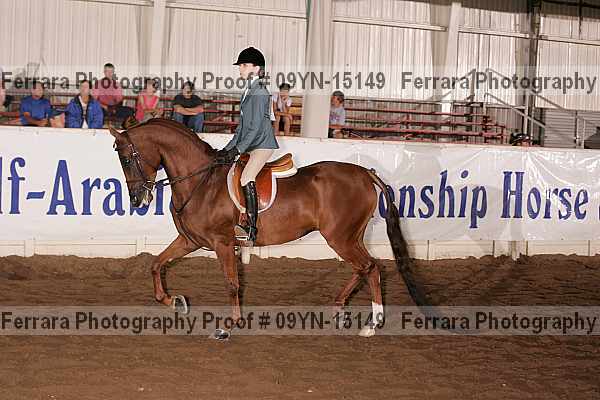 Proof 09yn-15149