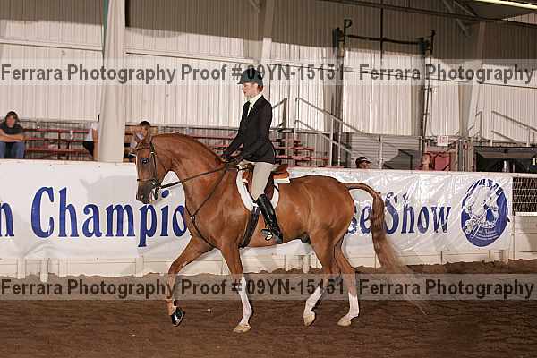 Proof 09yn-15151