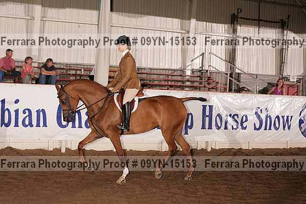 Proof 09yn-15153