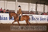 09yn-15153 proof