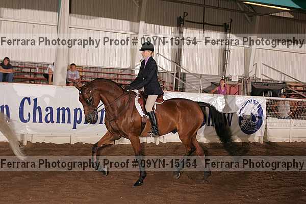 Proof 09yn-15154