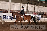 09yn-15154 proof