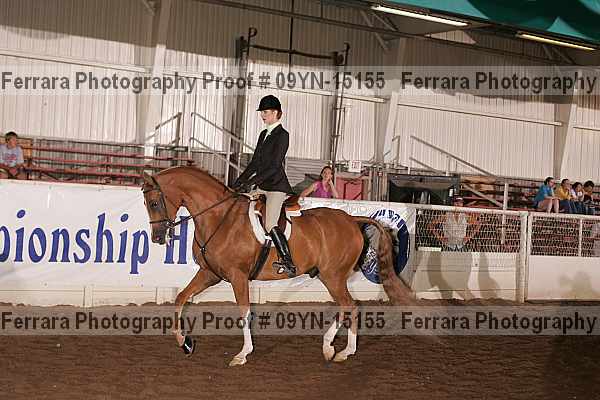 Proof 09yn-15155
