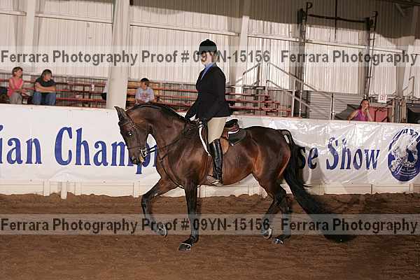 Proof 09yn-15156