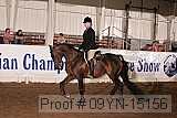 09yn-15156 proof