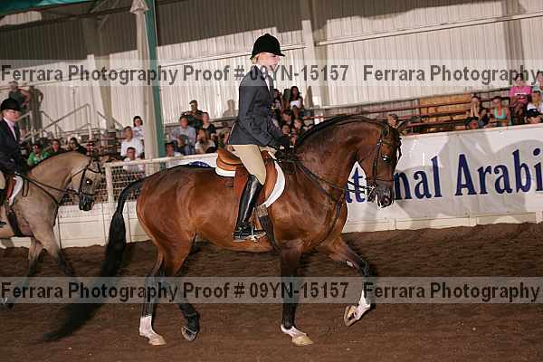Proof 09yn-15157