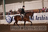 09yn-15158 proof