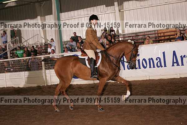Proof 09yn-15159