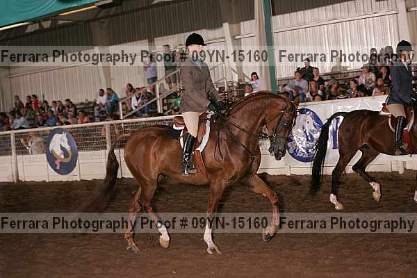 Proof 09yn-15160