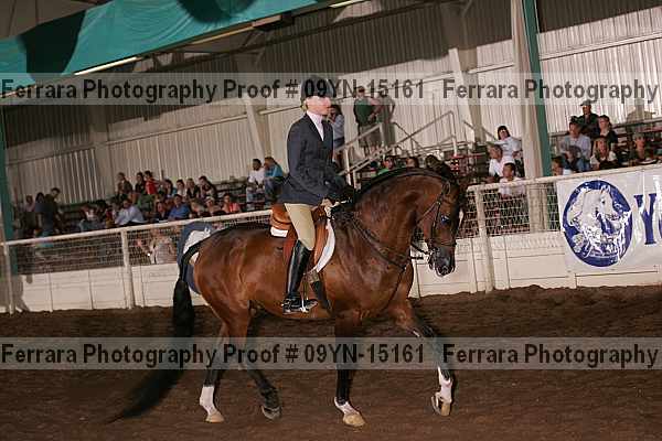 Proof 09yn-15161