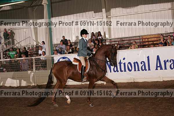 Proof 09yn-15162