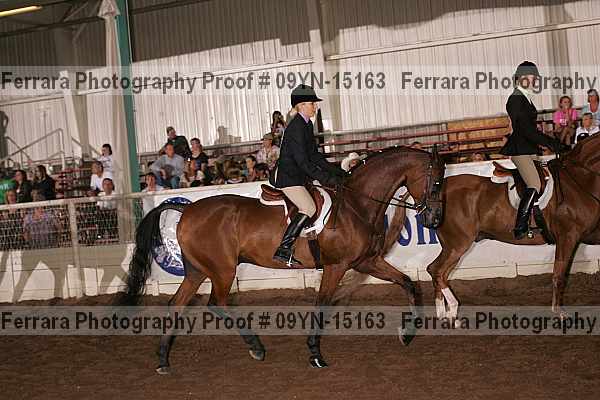 Proof 09yn-15163