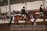 09yn-15163 proof