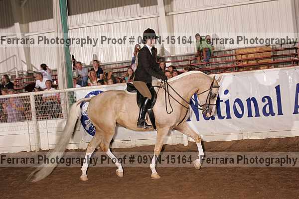 Proof 09yn-15164