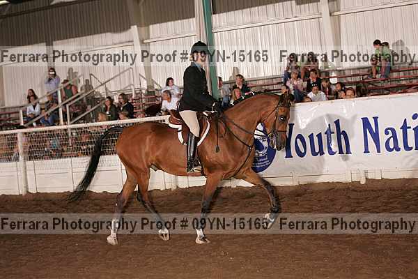 Proof 09yn-15165