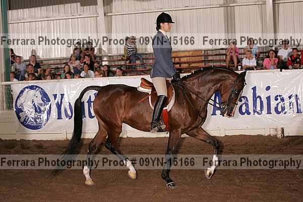 Proof 09yn-15166