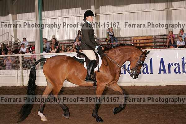 Proof 09yn-15167