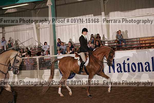 Proof 09yn-15168