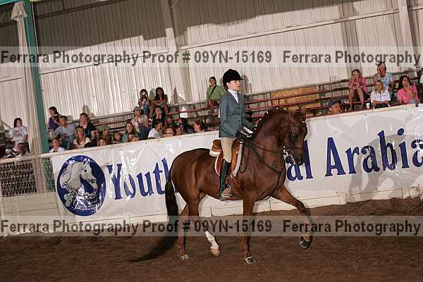 Proof 09yn-15169