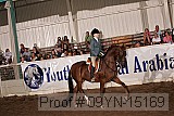 09yn-15169 proof