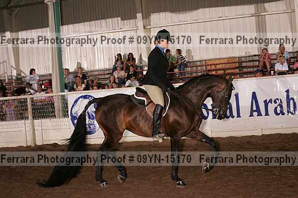 Proof 09yn-15170