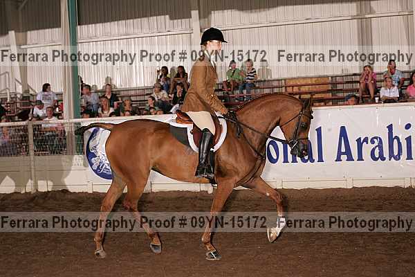 Proof 09yn-15172