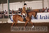 09yn-15172 proof