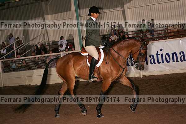 Proof 09yn-15174