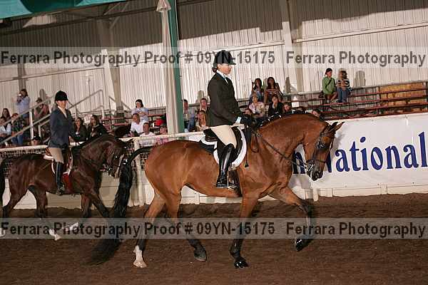 Proof 09yn-15175