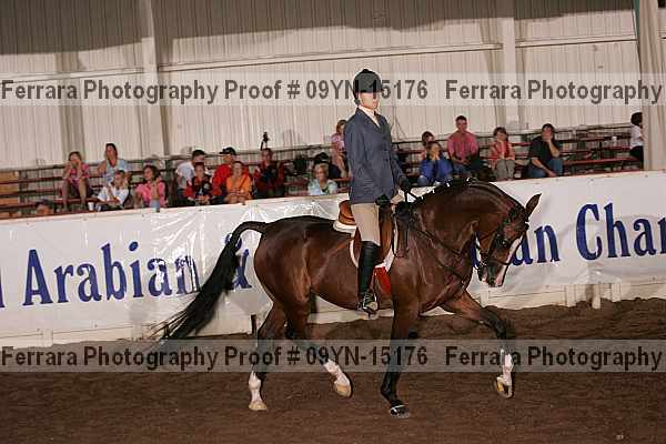 Proof 09yn-15176