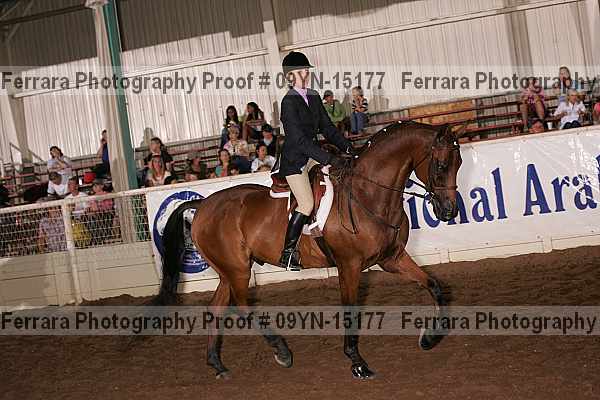 Proof 09yn-15177