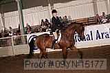 09yn-15177 proof