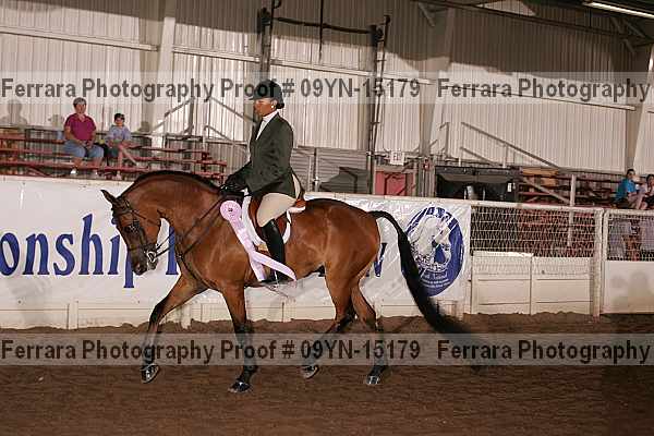 Proof 09yn-15179
