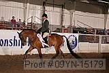 09yn-15179 proof