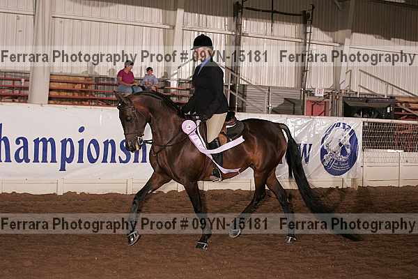 Proof 09yn-15181