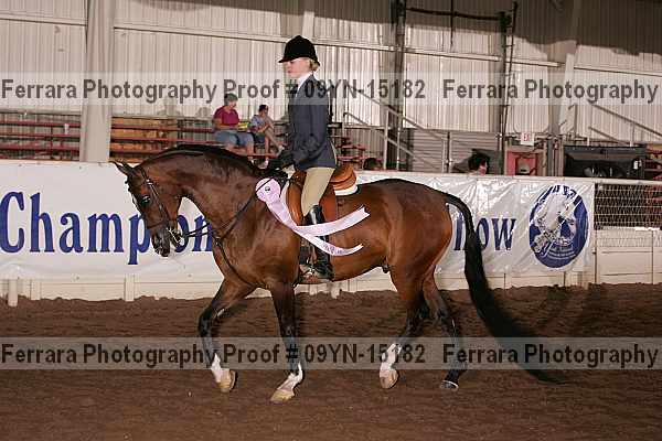 Proof 09yn-15182