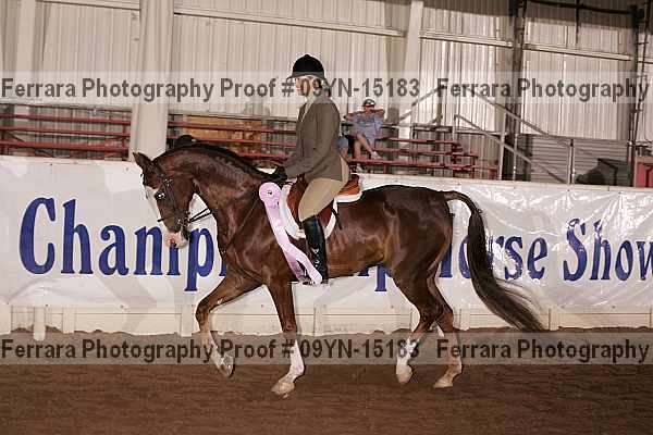 Proof 09yn-15183