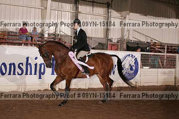 Proof 09yn-15184