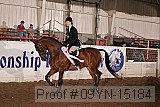09yn-15184 proof