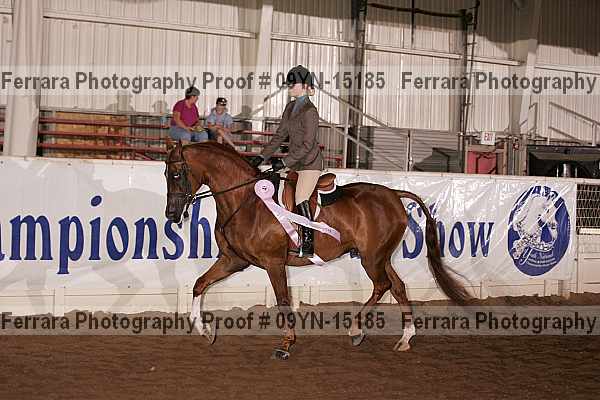 Proof 09yn-15185