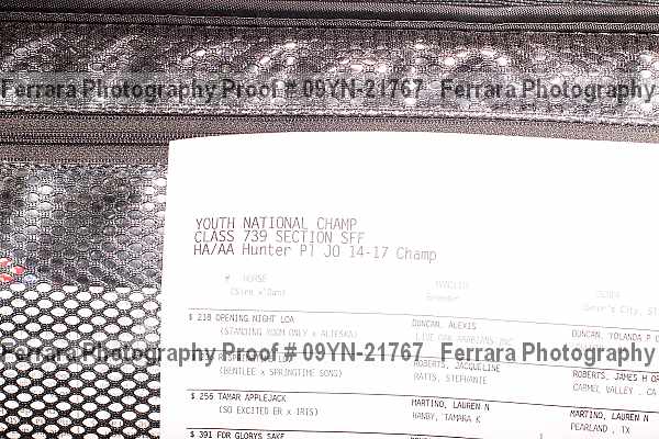 Proof 09yn-21767