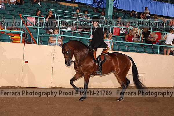 Proof 09yn-21769