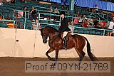 09yn-21769 proof