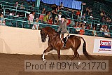 09yn-21770 proof