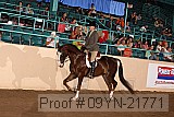09yn-21771 proof