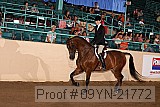 09yn-21772 proof