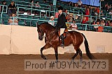 09yn-21773 proof