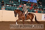 09yn-21774 proof